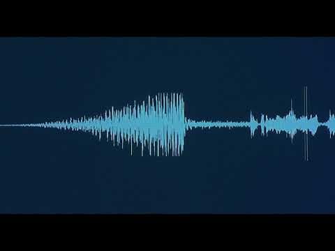 Tainy - Tainy - si preguntas por mi (instrumental)