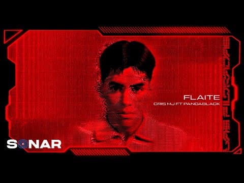 Cris MJ - Cris MJ, Panda Black - Flaite (Visualizer) | Las Filtradas