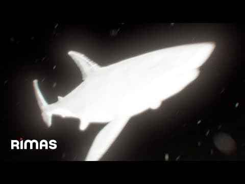 Yandel - Yandel - Rastafari (Visualizer) / Infinito