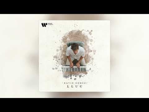 Warner Music Spain - David Gómez - LLUC (Audio Oficial)