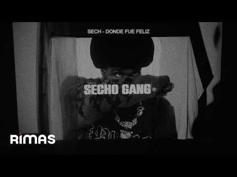 Sech - Sech - DONDE FUE FELIZ (Visualizer)