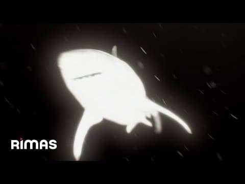 Yandel - Yandel, Alex Sensation - Buenos Días (Visualizer) / Infinito