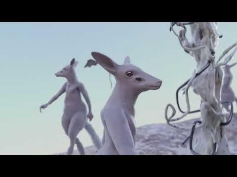 Belako - Belako - Orein Orain (Lyric Video)