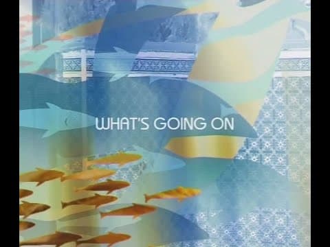Sole Giménez - Sole Giménez: "What's going on" (En Directo) - Vídeo Oficial