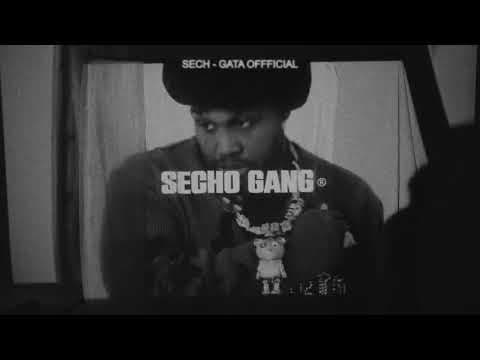 Sech - Sech - GATA OFFFICIAL (Visualizer) | SECHO GANG